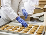 Process of manufacturing biscuits