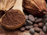 indo cocoa